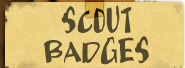 Scout Badges